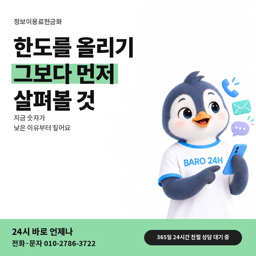 BARO 24H 티셔츠를 입은 3D 동물 캐릭터 옆에 「한도 올리기 전 확인」 제목을 얹은 안내 카드